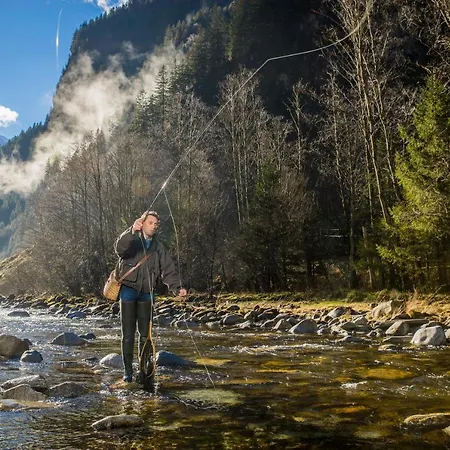 ゲストハウス Ferienwohnungen-gaestehaus Altginzling